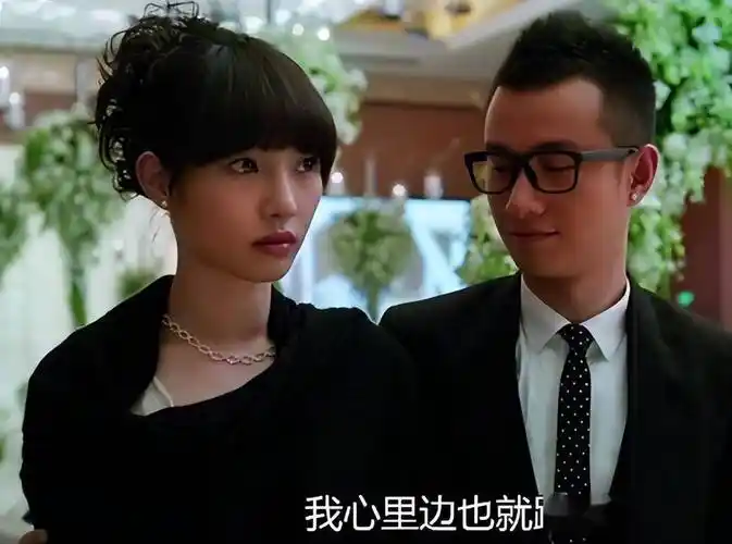 赵宝刚_姐姐_演艺