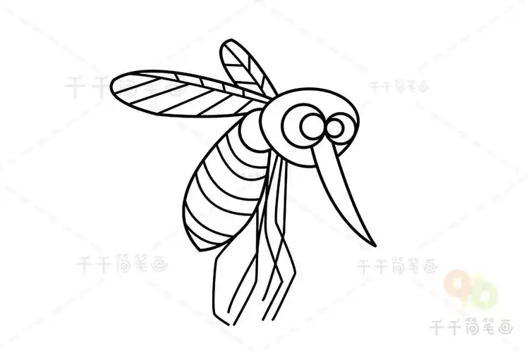 教你画蚊子简笔画