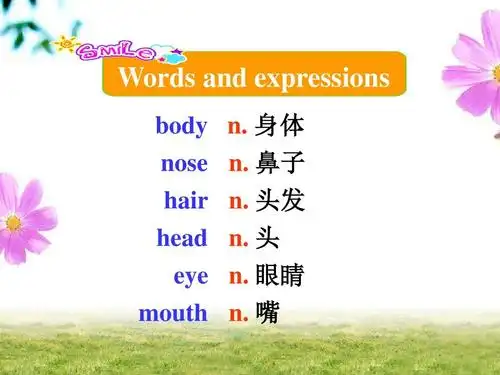 身体 nose n. 鼻子 hair n. 头发 head n. 头 eye n. 眼睛 mouth n.