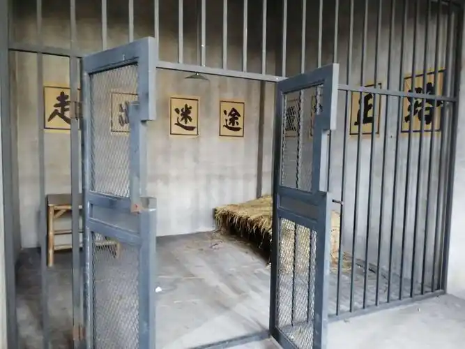 穿越民国 体验生活