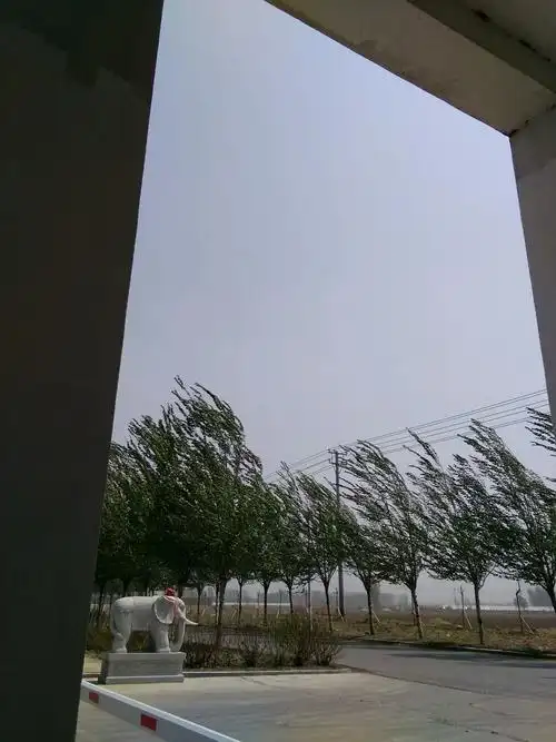 今天的风好大!五一节日不是风就是雨!