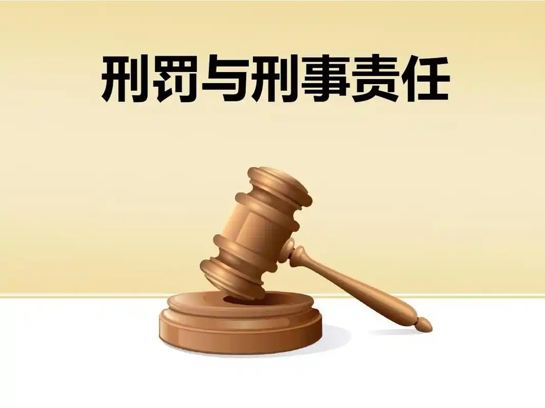 刑罚与刑事责任ppt