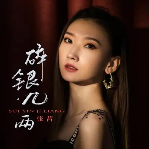 张茜碎银几两dj版