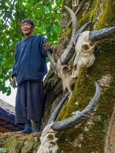 人物篇云南临沧沧源翁丁佤族部落村寨