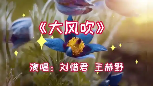 火遍全网歌曲刘惜君王赫野原唱大风吹完整版节奏动感欢快