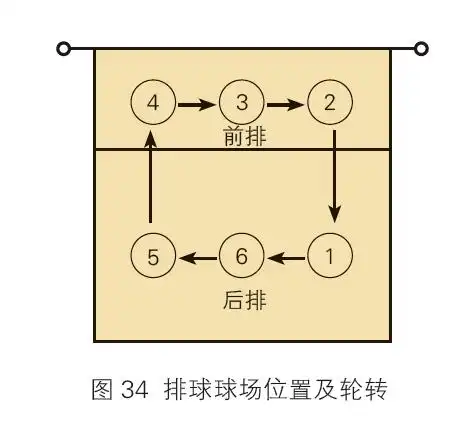 比赛规则太复杂六分钟带你吃透排球比赛