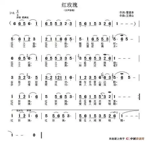 红玫瑰 - 简谱 - 歌谱简谱大全