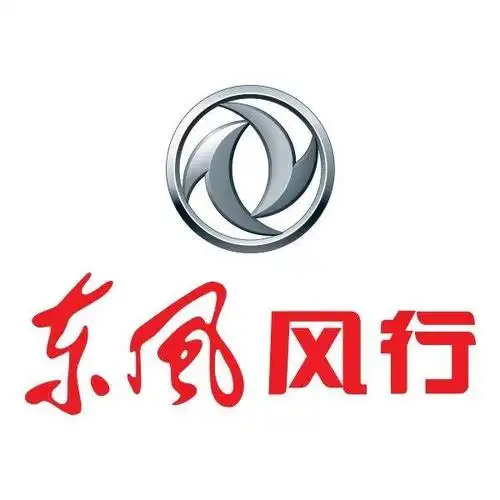 有多少人因为t5evo这个车标才买的这个_风行t5 evo车友圈_懂车帝