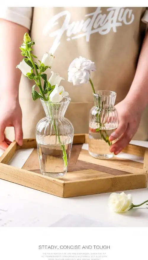 透明玻璃小花瓶摆件客厅插花干花水养网红ins风玻璃瓶 玻璃花瓶(矮款)