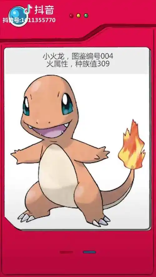全国图鉴004号小火龙精灵宝可梦宠物小精灵神奇宝贝口袋妖怪