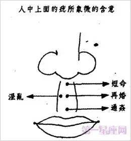 面相图解:人中短代表什么呢?
