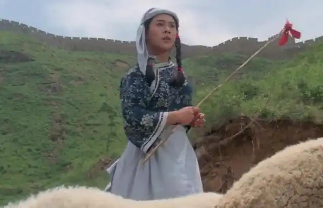 李连杰黄秋燕定情之作这部功夫片与少林寺一样精彩