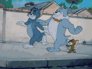 猫主子的心思太难猜这些细节划重点