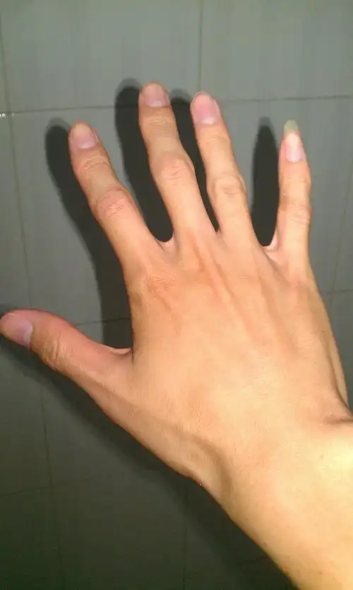 右手手背图简笔画