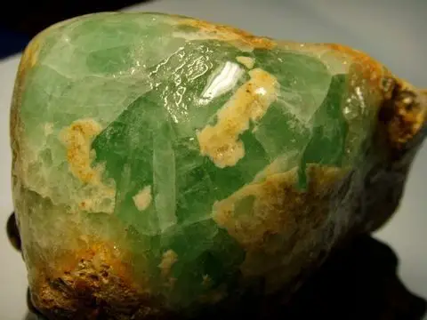 这些个东西很漂亮是什么我不知道请教各位兰友