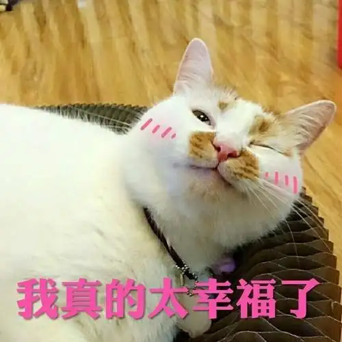 的太幸福了我怎么这么幸福憨憨可爱gif动图_动态图_表情包下载_soogif