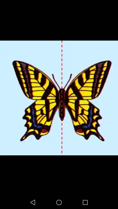 生活中的轴对称图片