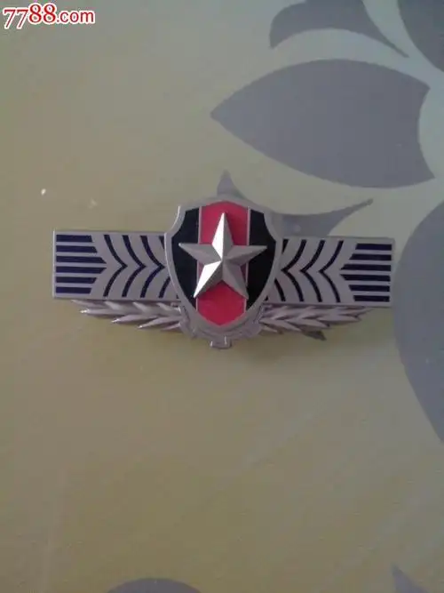 退役苍南预备役硬标-价格:20元-se27351705-老肩章/领章/领花-零售