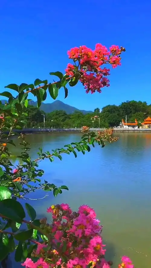 青山绿水鲜花,人间仙境.