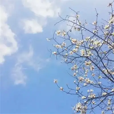 风景头像大全大自然唯美自然风景图片