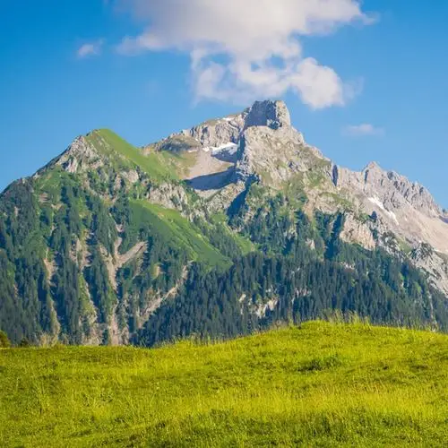 高山牧场_微信头像风景图片_扣扣居