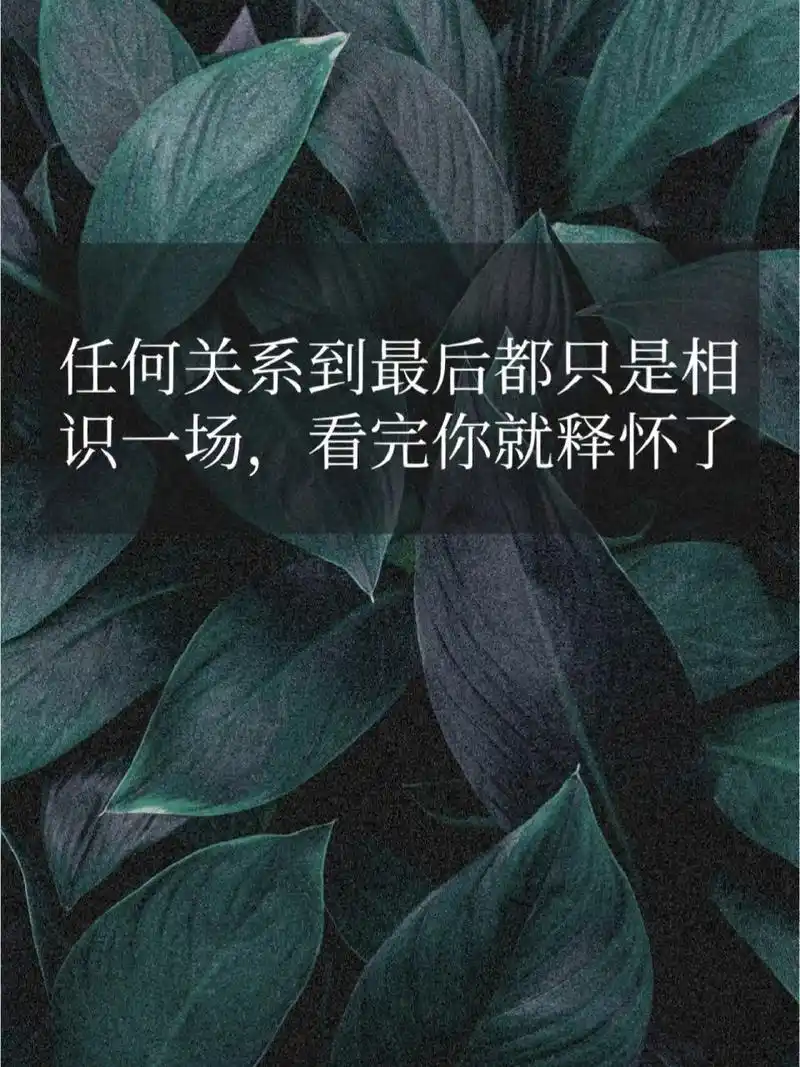 任何关系到最后都只是相识一场,看完释怀了 总有一天你会明白:任何