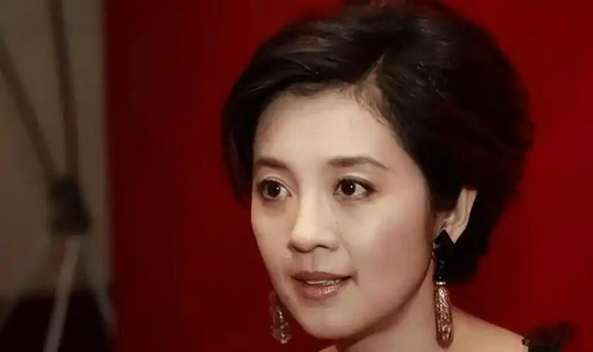 与原配摊牌后分手,2个孩子都归前妻_许戈辉_肖桦_女子