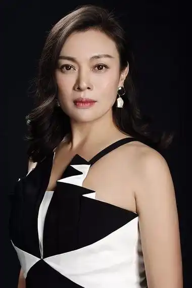 电视剧《我的团长我的团》的主要演员表如下