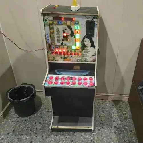 一男子为招揽生意将老虎机藏进浴室