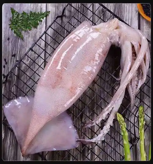 大鱿鱼冻货整只新鲜冷冻鱿鱼批发火箭鱿鱼鲜鱿鱼鱿鱼须鱿鱼头 5斤装