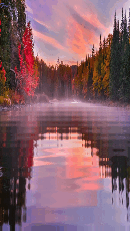 450_800竖版 竖屏gif 动态图 动图