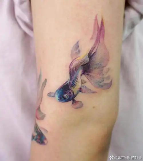 今日纹身图案分享    彩色鱼    #纹身分享##纹身设计##北京纹身店