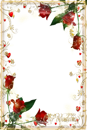 【转载】【免抠png素材篇】漂亮的png装饰框 4/30p - 真情天使的日志