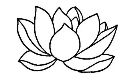 荷花简笔画图片大全二-儿童简笔画大全