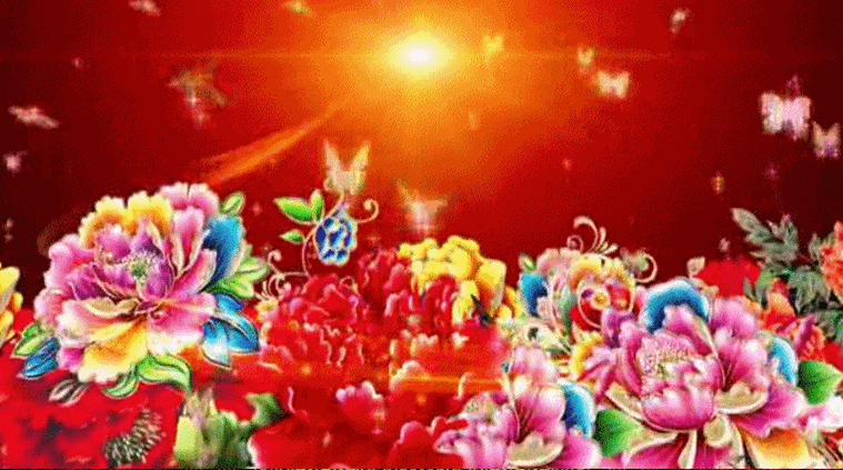 【gif-动图】— 用抠抠视频秀生成的gif动画(鲜花素材)