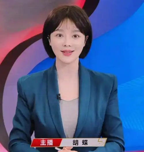 回顾主持人胡蝶我这辈子正确的决定就是为陆川生下一儿一女