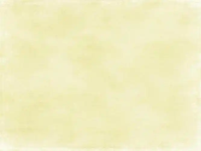 私人收藏浅色清新淡雅ppt背景1