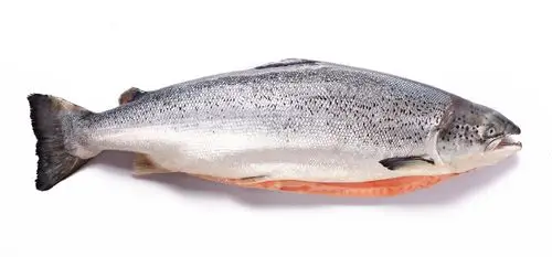 您是如何认识三文鱼的,知道三文鱼的吃法有哪些吗?