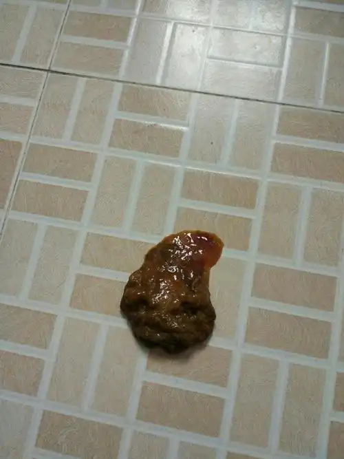 狗狗两个半月了,差三差五就会便血,打了两针了 吃了一次驱虫药,请问是