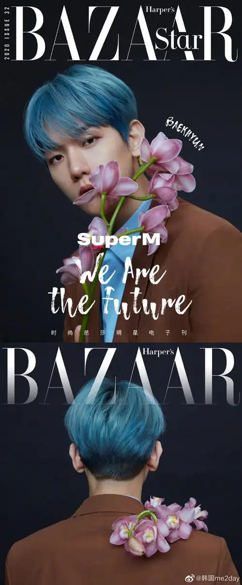 晋时尚芭莎电子刊单人比美