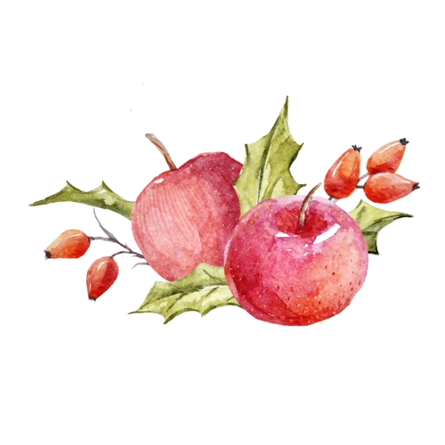 水彩水果装饰图片
