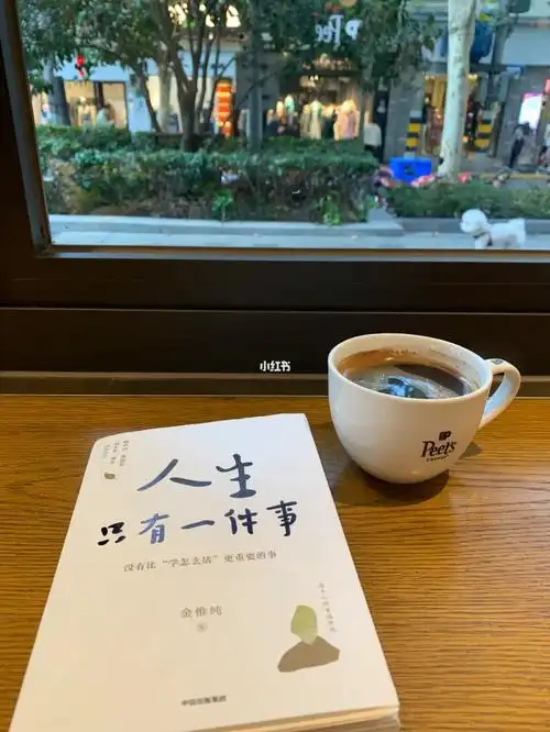 一杯黑咖啡,一本书