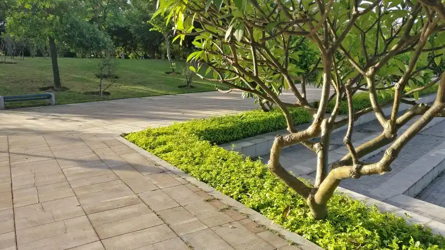 个人氢视窗壁纸推荐