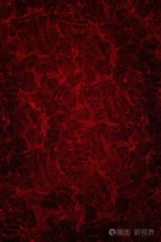 抽象的暗红色背景与花卉图案