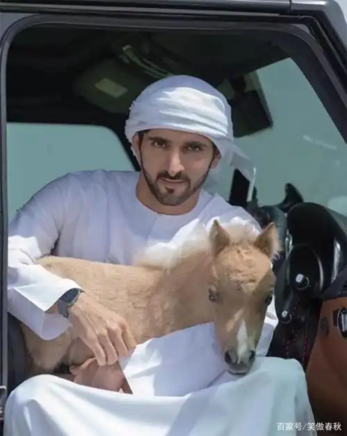 迪拜酋长因马和哈雅结缘,3千万买马连眼都不眨,他为啥这么有钱