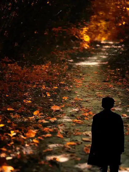 孤独的人站在秋天的树林