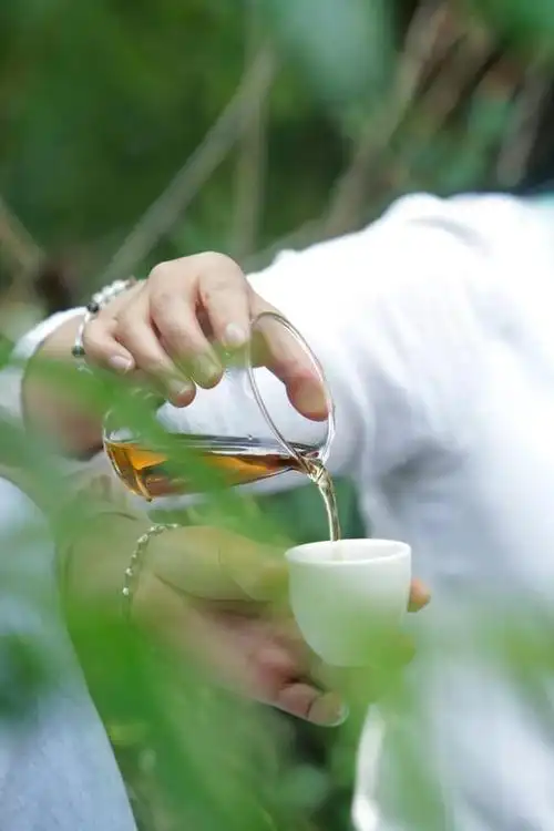 茶人茶事的唯美句子(浮生茶语茶水相伴)(1)