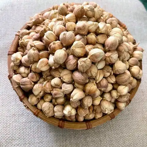 中药材白豆蔻白扣豆蔻无硫全干开胃消食无硫化湿行气 50克【图片 价格