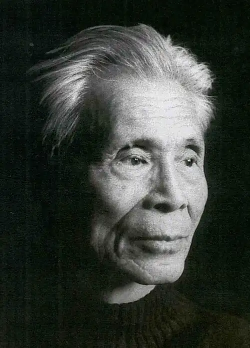 吴冠中:这帮流氓书画家,我就是看不惯!