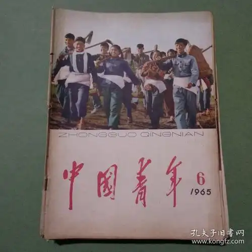 中国青年杂志共37期34本19611983年196119621963196419651983备2楼梯